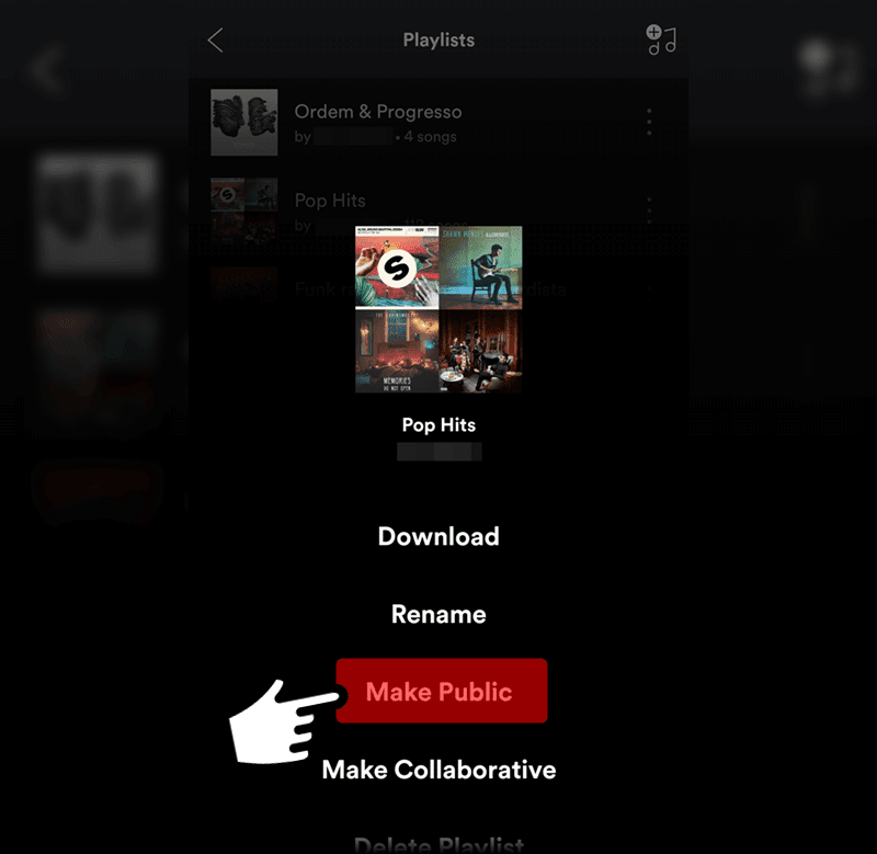 make-spotify-playlist-public_4