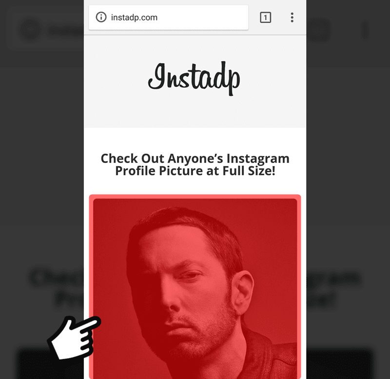 save-instagram-profile-picture_2