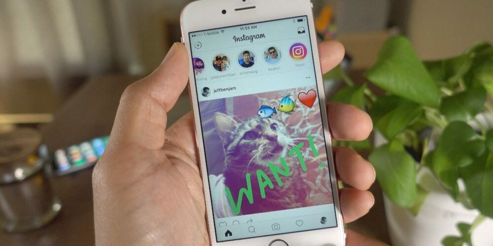 How To View or Download Instagram Stories on PC