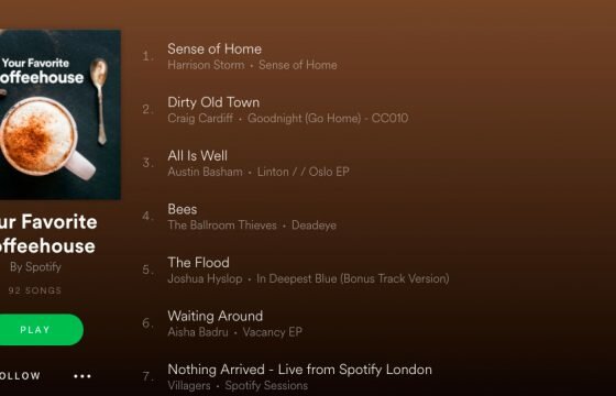 How To Make a Spotify Playlist Public